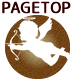 ページトップ